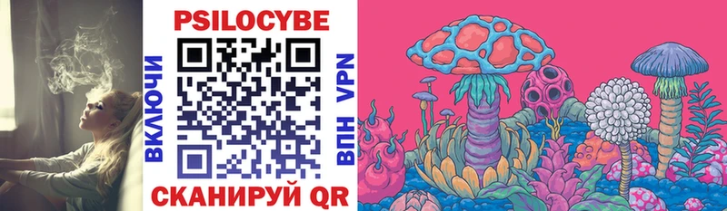 цены   Жуков  Псилоцибиновые грибы мицелий 