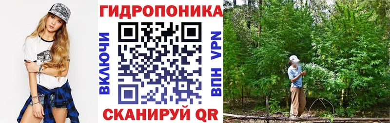 Бошки марихуана сатива  ОМГ ОМГ сайт  Жуков 